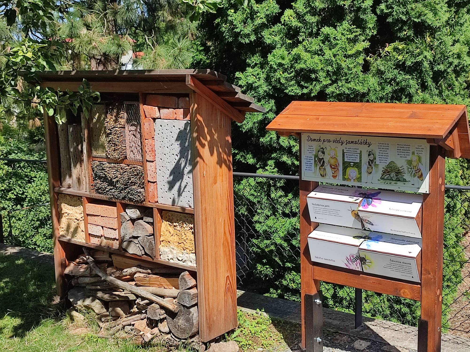 Live bees and bumblebees