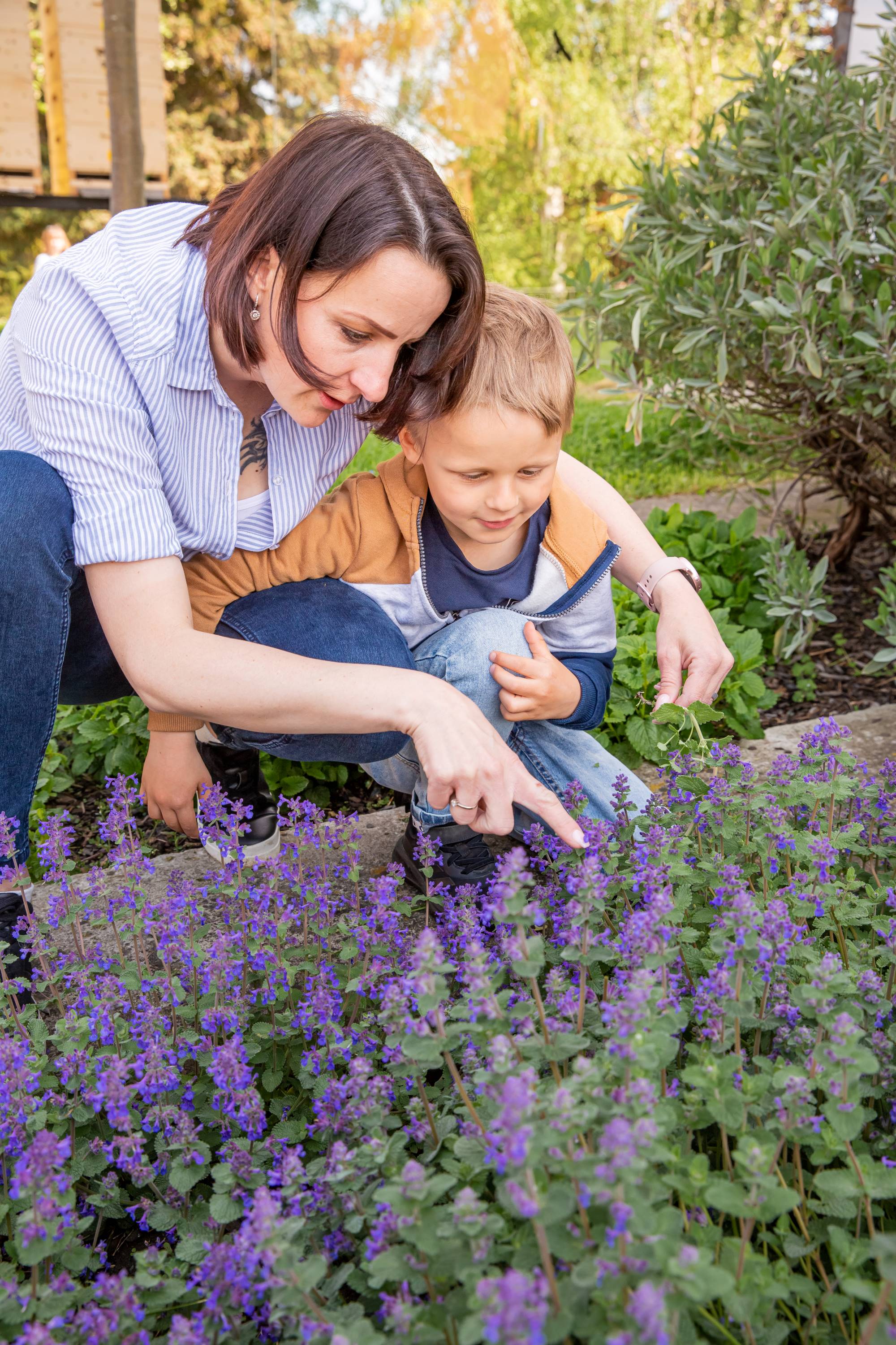 Live bees and bumblebees