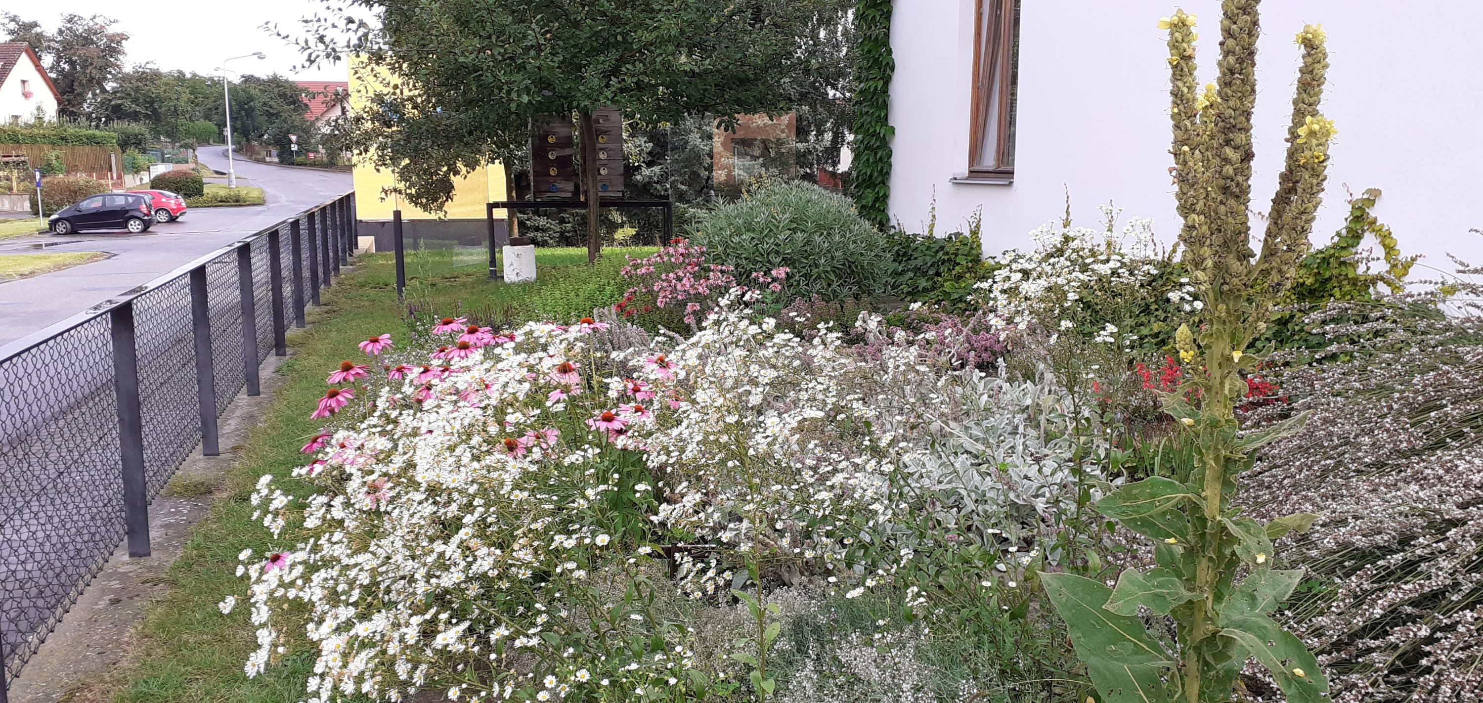 Live bees and bumblebees